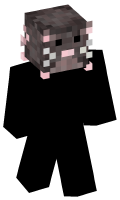 Skinfile