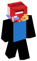 Skinfile