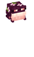Skinfile