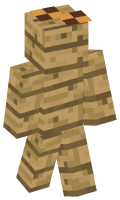 Skinfile