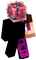 Skinfile