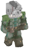 Skinfile