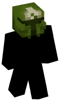 Skinfile