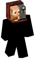 Skinfile
