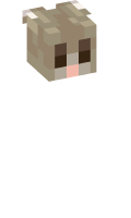 Skinfile