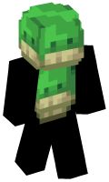 Skinfile
