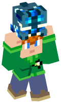 Skinfile