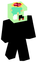 Skinfile