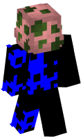 Skinfile