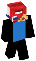 Skinfile