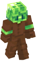 Skinfile