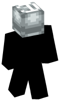 Skinfile