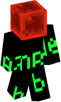 Skinfile
