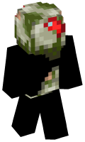 Skinfile