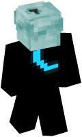 Skinfile
