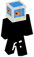 Skinfile
