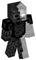 Skinfile