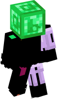 Skinfile