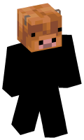 Skinfile