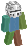 Skinfile