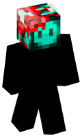 Skinfile