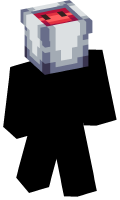 Skinfile