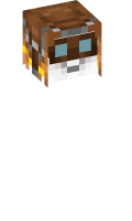 Skinfile