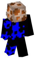 Skinfile