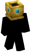 Skinfile