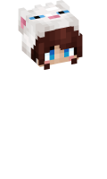 Skinfile