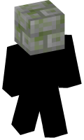 Skinfile