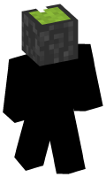 Skinfile
