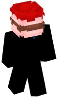 Skinfile