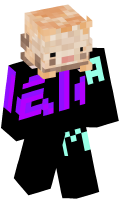 Skinfile