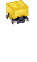 Skinfile