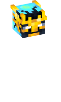 Skinfile