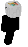 Skinfile