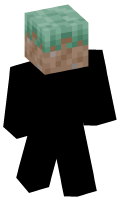 Skinfile