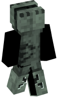 Skinfile