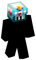 Skinfile