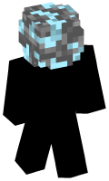 Skinfile