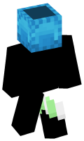 Skinfile