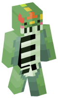 Skinfile