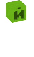 Skinfile