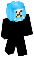 Skinfile