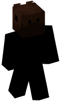 Skinfile