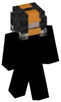 Skinfile