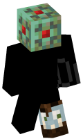 Skinfile