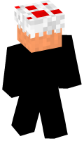 Skinfile