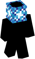 Skinfile